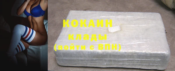сатива Арсеньев