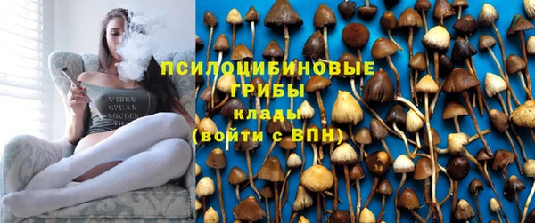 сатива Арсеньев