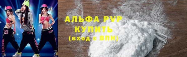 сатива Арсеньев